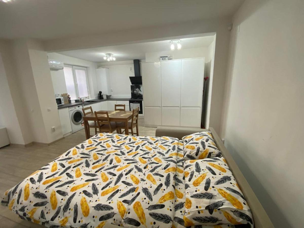 The Best Apartament Central هونيدوارا المظهر الخارجي الصورة